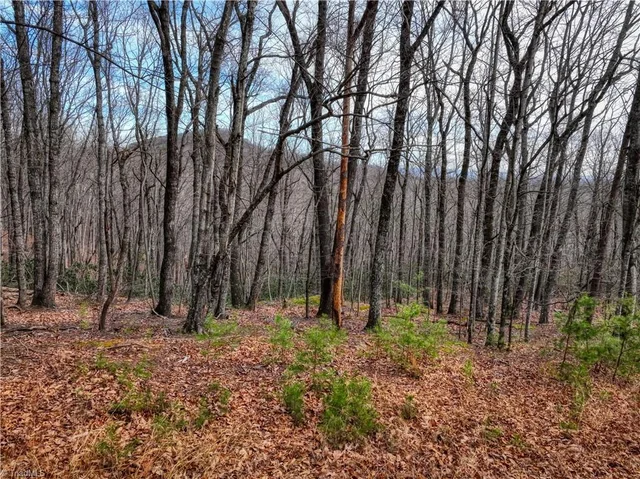 TBD Ivy Green Trail, photo 2 of 11