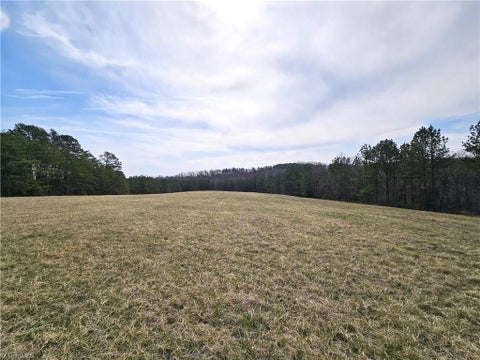 Photo for xx 9.91ac lot 1 Payne Road