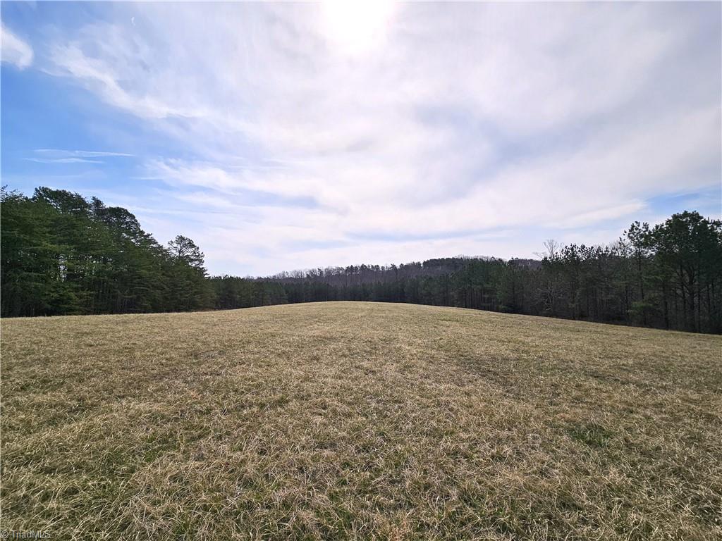 Xx 9.91ac Lot 1 Payne Road, Rural Hall, North Carolina image 7