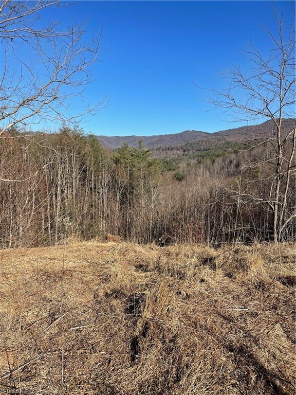 Lump Road, Purlear, North Carolina image 2