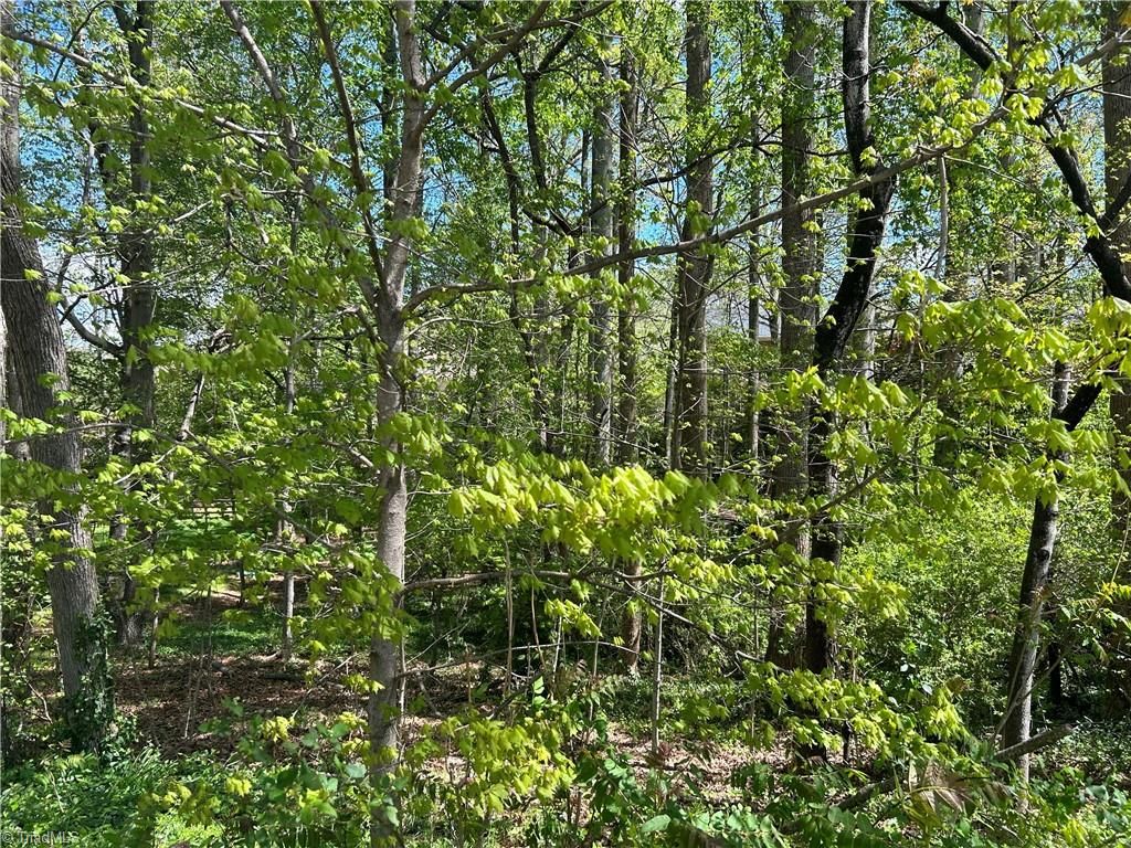 4201 Allistair Road, Winston Salem, NC 27104, MLS 1139125 Allen Tate