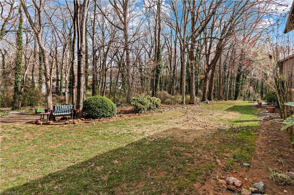 6001 Spring Forest Court, Pleasant Garden, North Carolina image 28