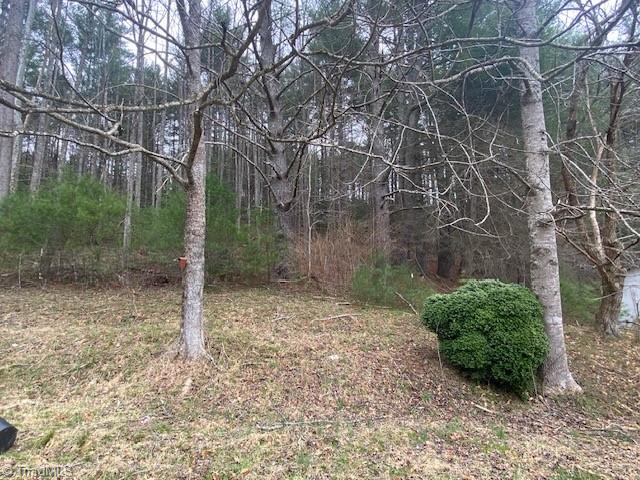 11526 Us Highway 421, Purlear, North Carolina image 12