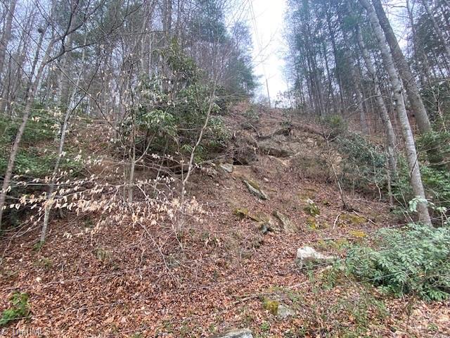 11526 Us Highway 421, Purlear, North Carolina image 22