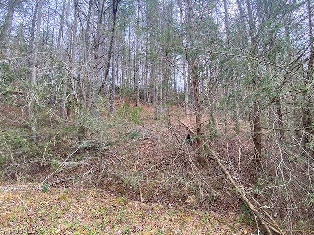 11526 Us Highway 421, Purlear, North Carolina image 11