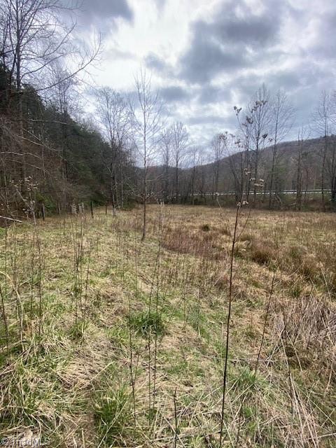 11526 Us Highway 421, Purlear, North Carolina image 24