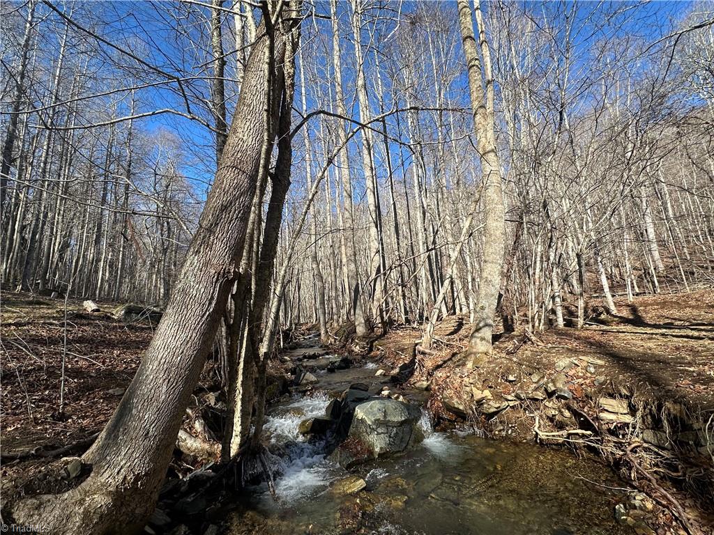 TBD Rainbow Trail, Boone, North Carolina image 16