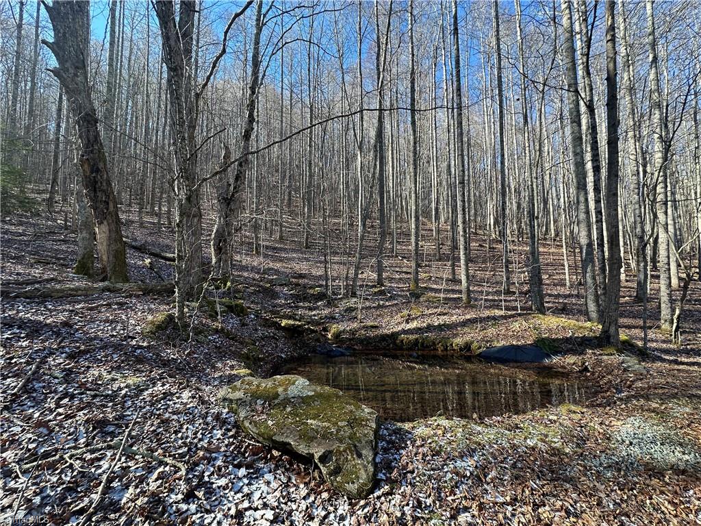 TBD Rainbow Trail, Boone, North Carolina image 12