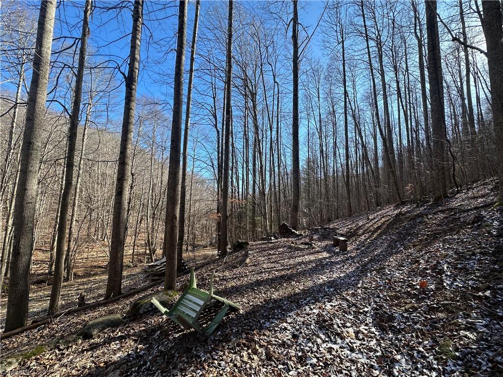 TBD Rainbow Trail, Boone, North Carolina image 19