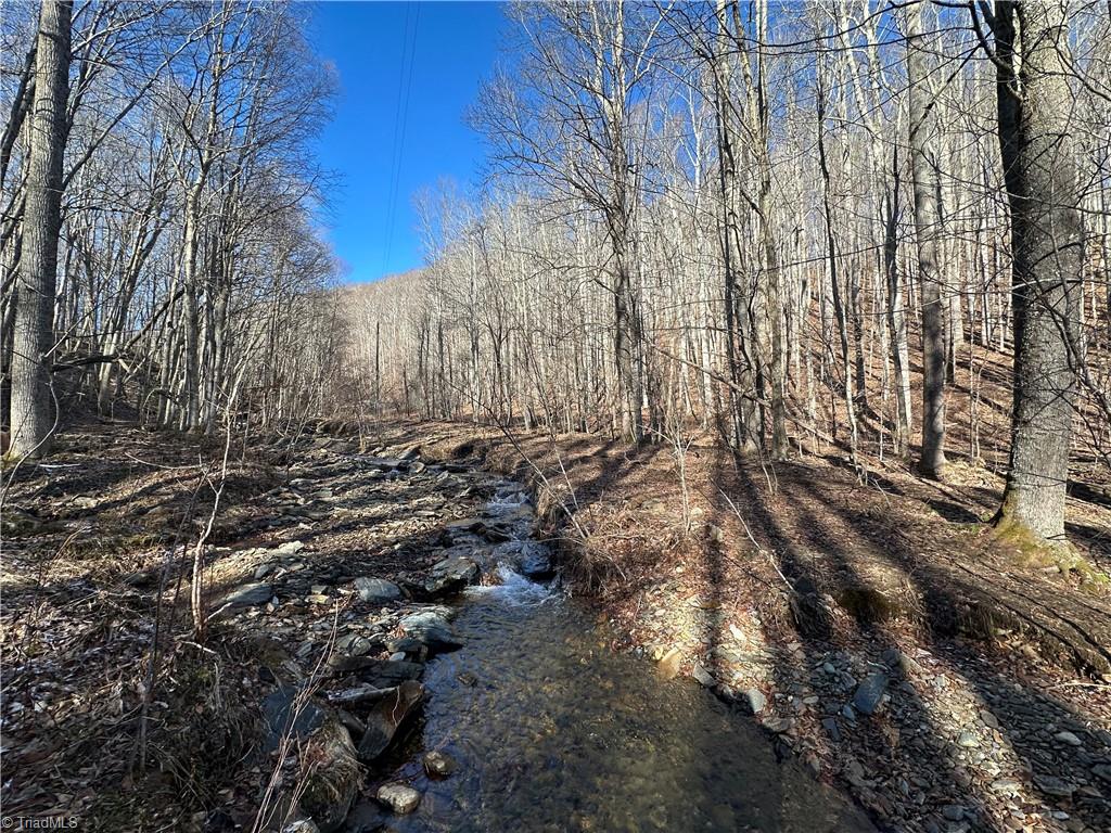 TBD Rainbow Trail, Boone, North Carolina image 22