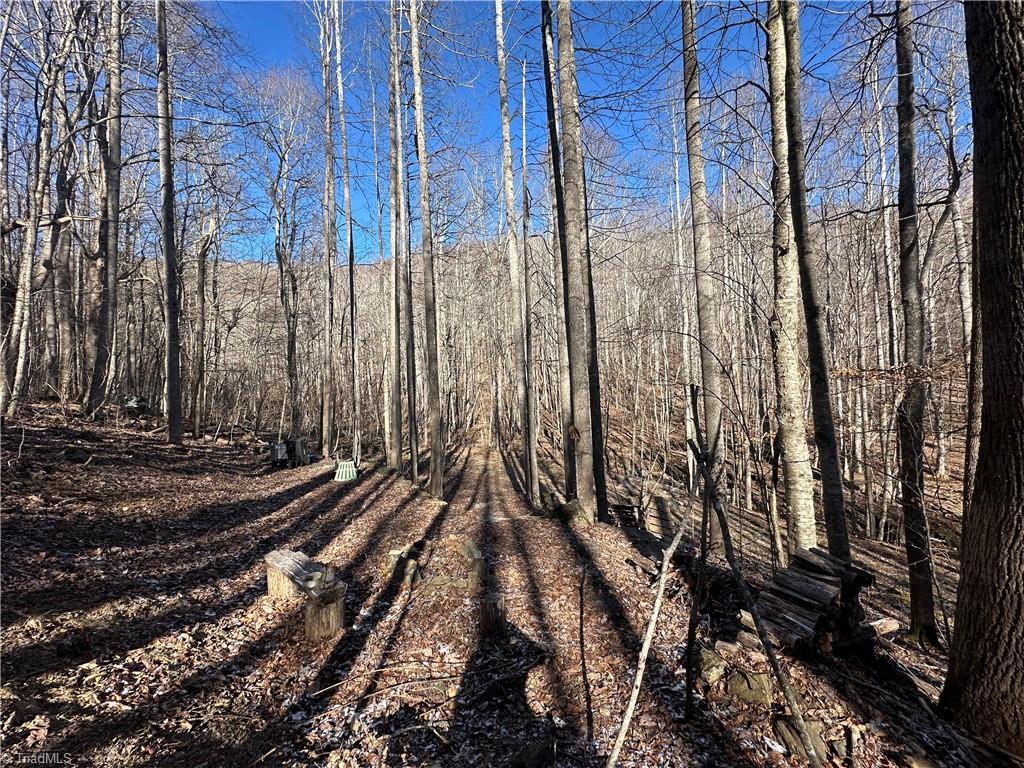 TBD Rainbow Trail, Boone, North Carolina image 18