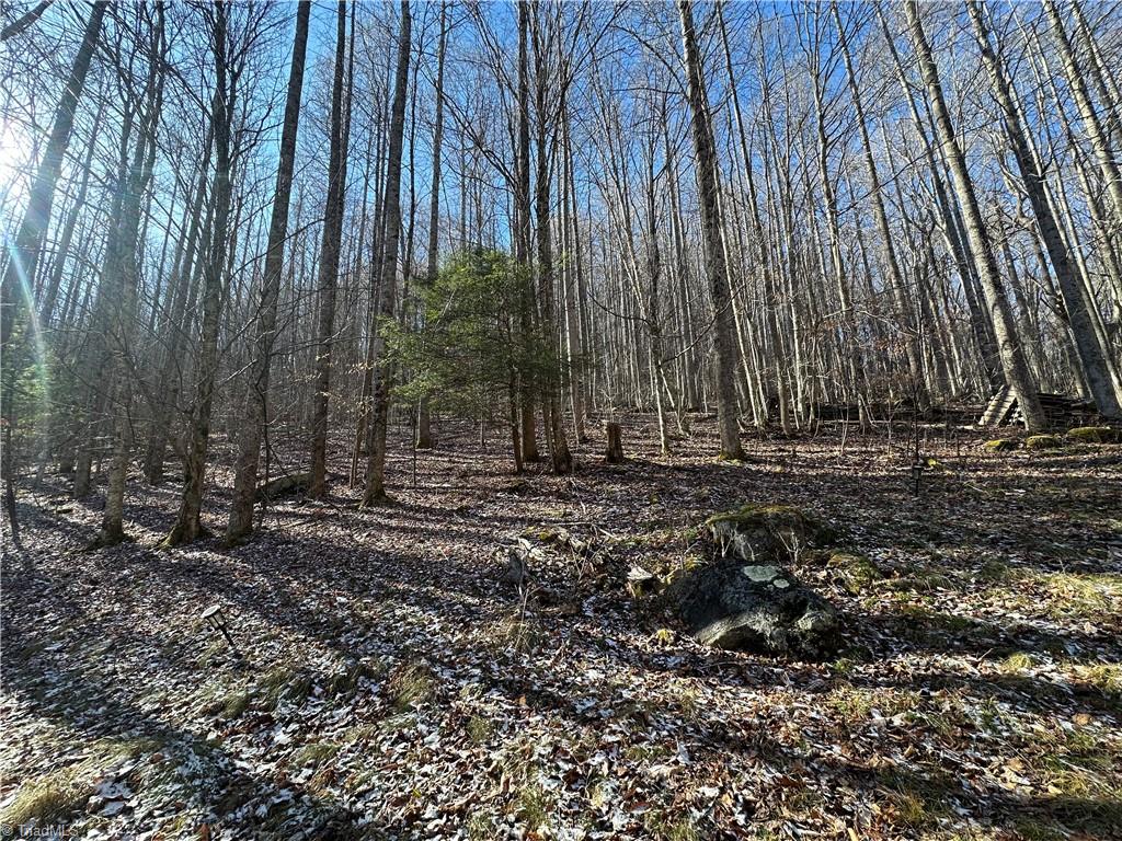 TBD Rainbow Trail, Boone, North Carolina image 9