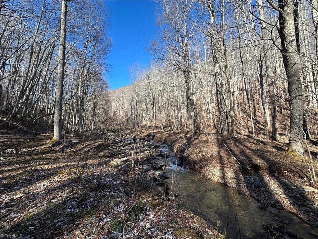 TBD Rainbow Trail, Boone, North Carolina image 21