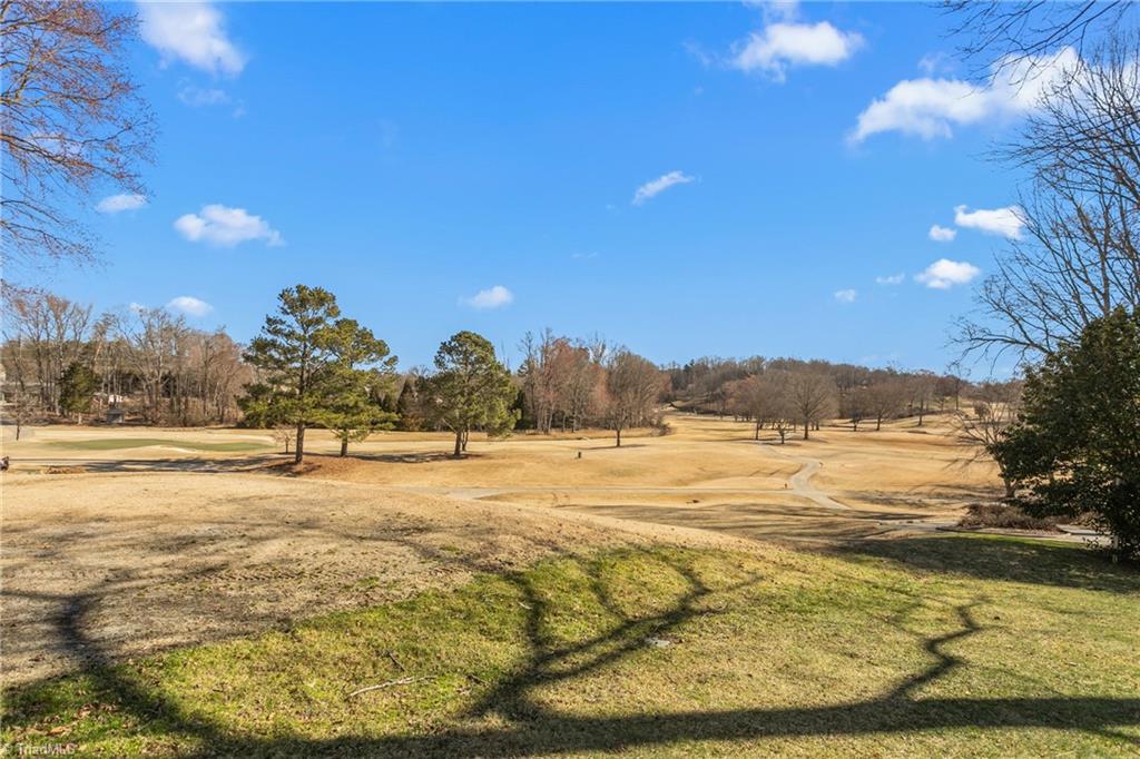 6106 Brook Shadow Court, Greensboro, North Carolina image 45