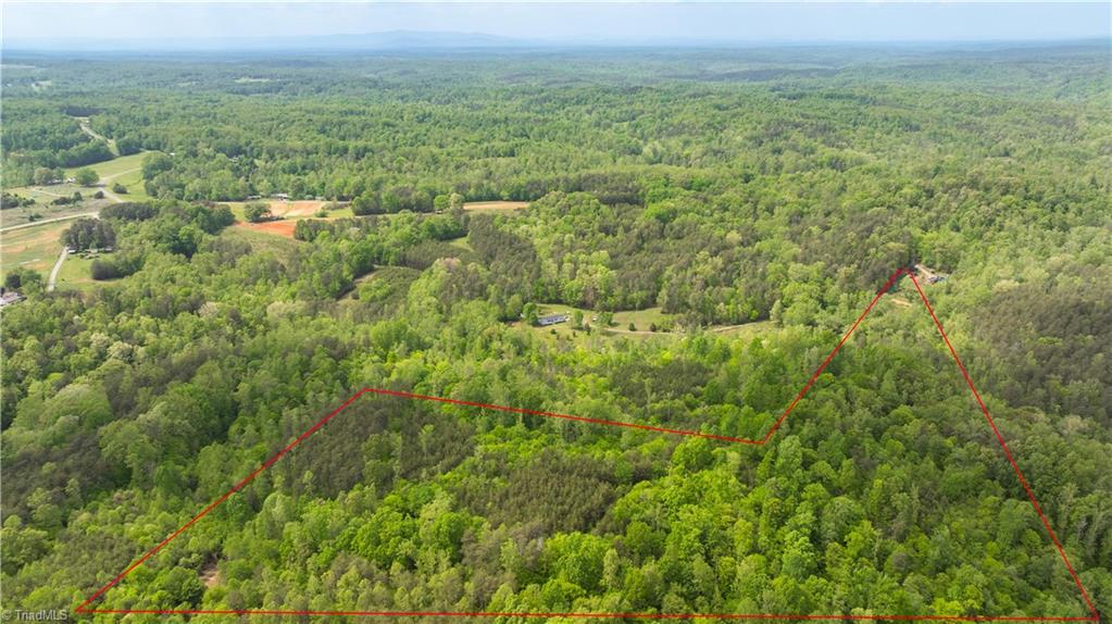 Riveredge Drive, Stoneville, North Carolina image 3