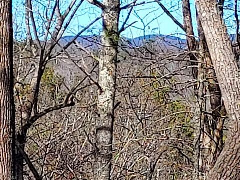 Vacant Land For Sale - 5354 West Ridge Road<br/> Ferguson, NC 28624