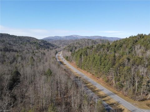 Vacant Land For Sale - TBD W Us Highway 421<br/> Purlear, NC 28665