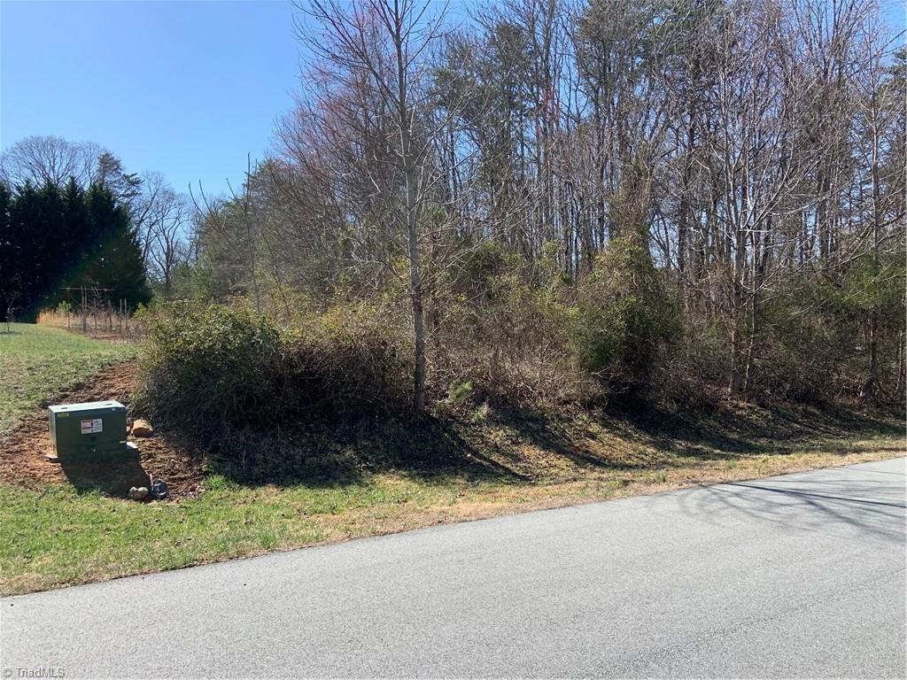 228 Sitting Rock Drive, Madison, North Carolina image 4