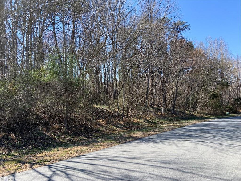 228 Sitting Rock Drive, Madison, North Carolina image 5