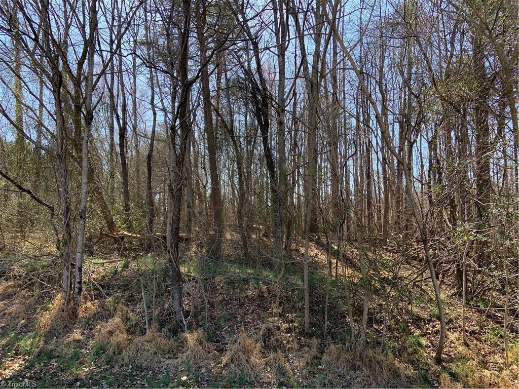 228 Sitting Rock Drive, Madison, North Carolina image 6