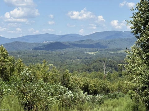 Vacant Land For Sale - OFF Bauguess Mill Road<br/> Traphill, NC 28685