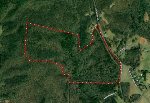 Vacant Land For Sale - 1096-1238 Cook School Road #97+/- AC TRACT<br/> Pilot Mountain, NC 27041