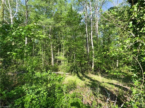 Vacant Land For Sale - 2133 Westminister Lane<br/> Winston-Salem, NC 27106