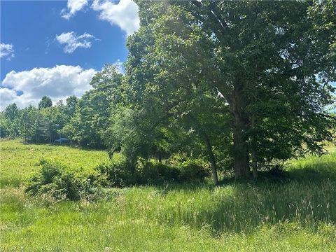 0 Mulberry Academy Street Franklinville NC 27248