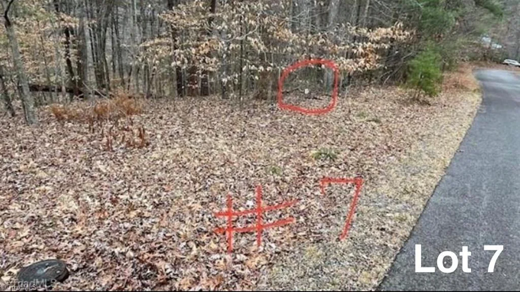 Lot 7 Woods Haven Lane, Stuart, VA, 24171
