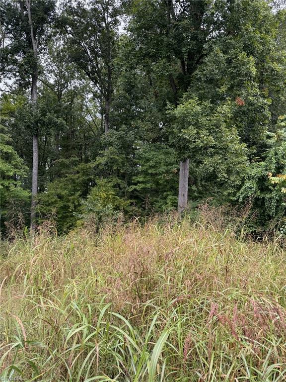 721 Surrey Path Trail, Winston-salem, NC, 27104