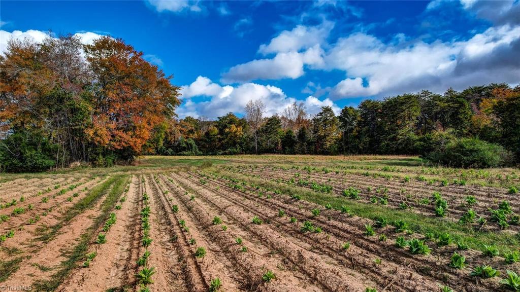 000 Barley Road, Reidsville, North Carolina image 3