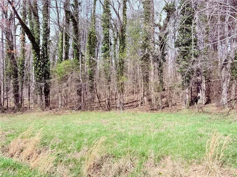 00 Ponderosa Road, photo 1 of 11