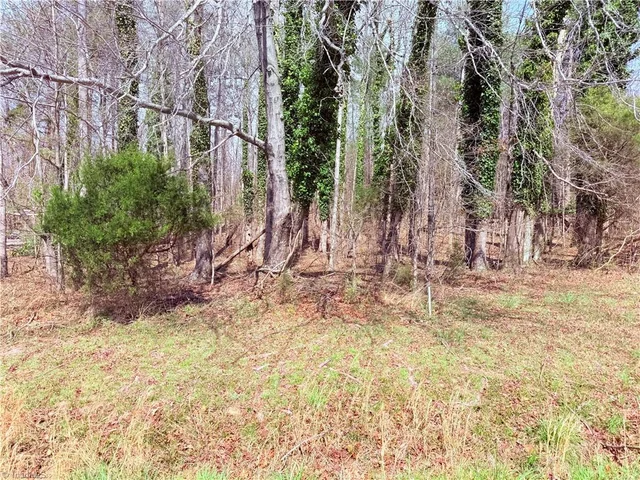 00 Ponderosa Road, photo 4 of 11