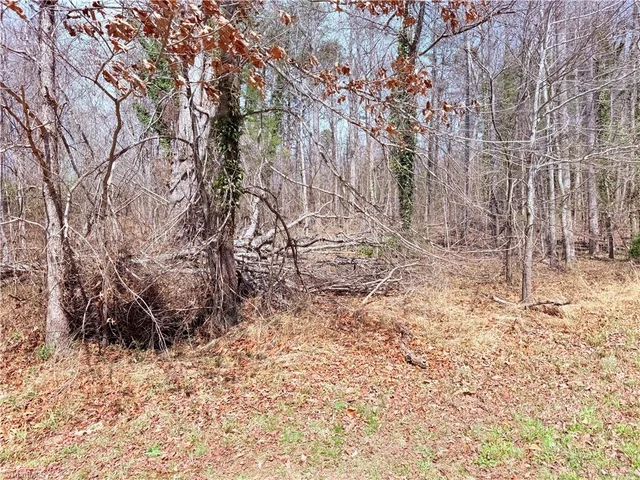 00 Ponderosa Road, photo 2 of 11