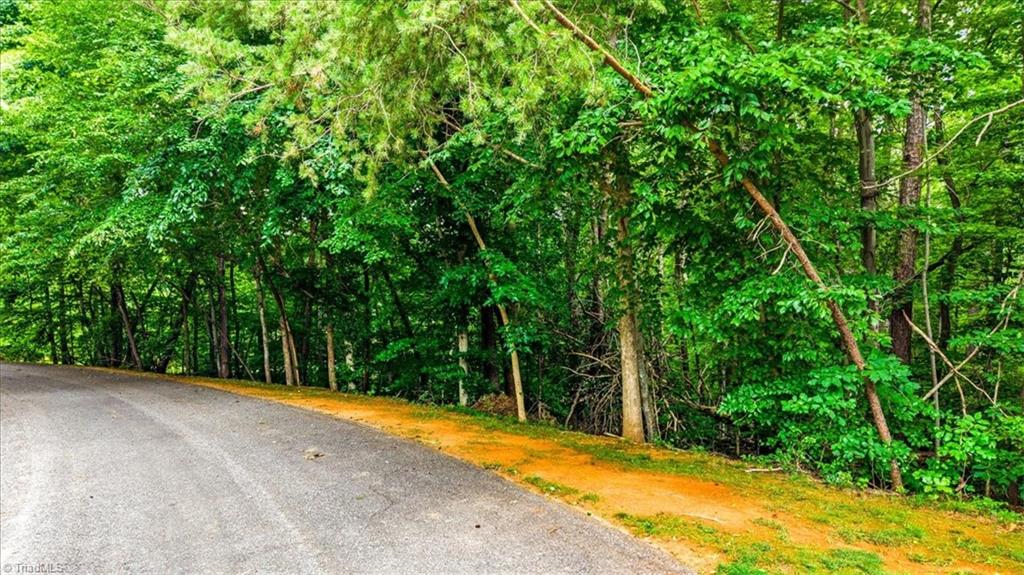8006 Chatsworth Court, Browns Summit, NC, 27214