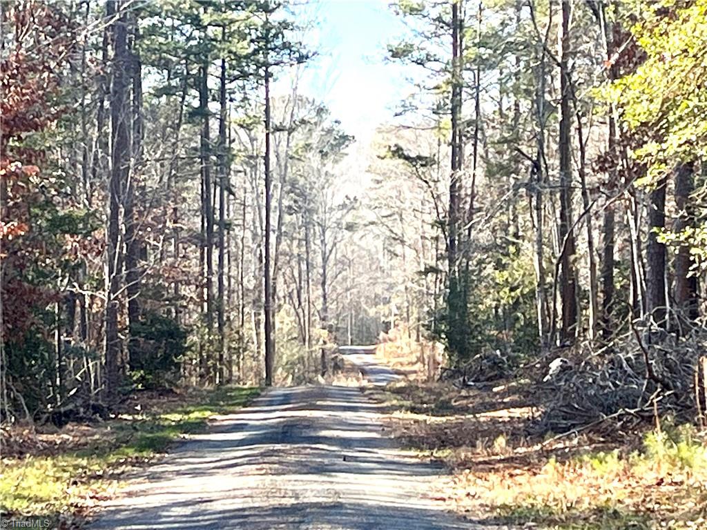 1964 Nc Highway 134, Troy, North Carolina image 7