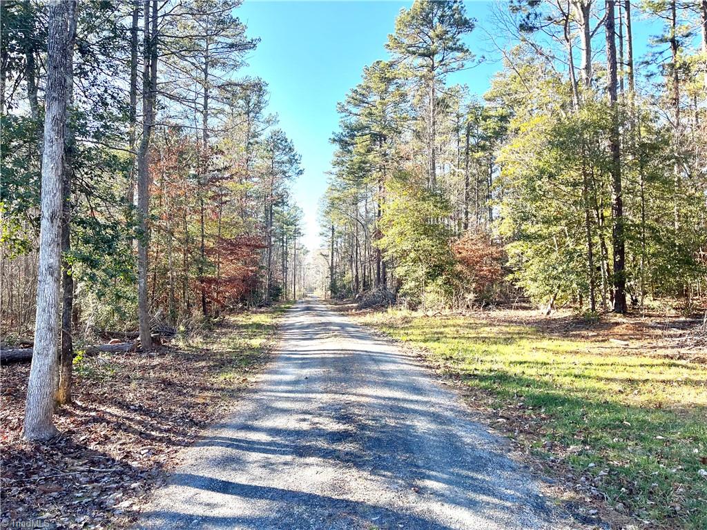 1964 Nc Highway 134, Troy, North Carolina image 2