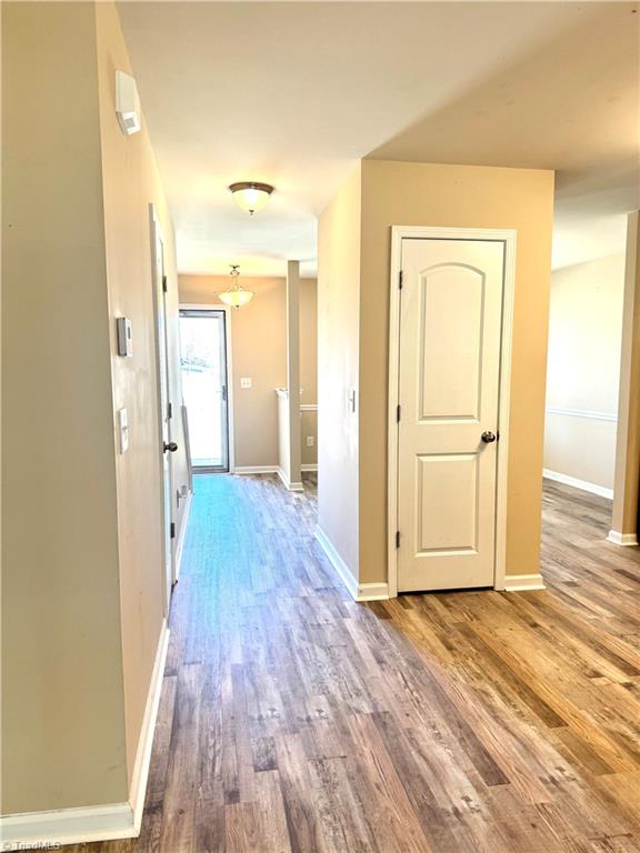 5879 Odenton Lane, Pfafftown, North Carolina image 6