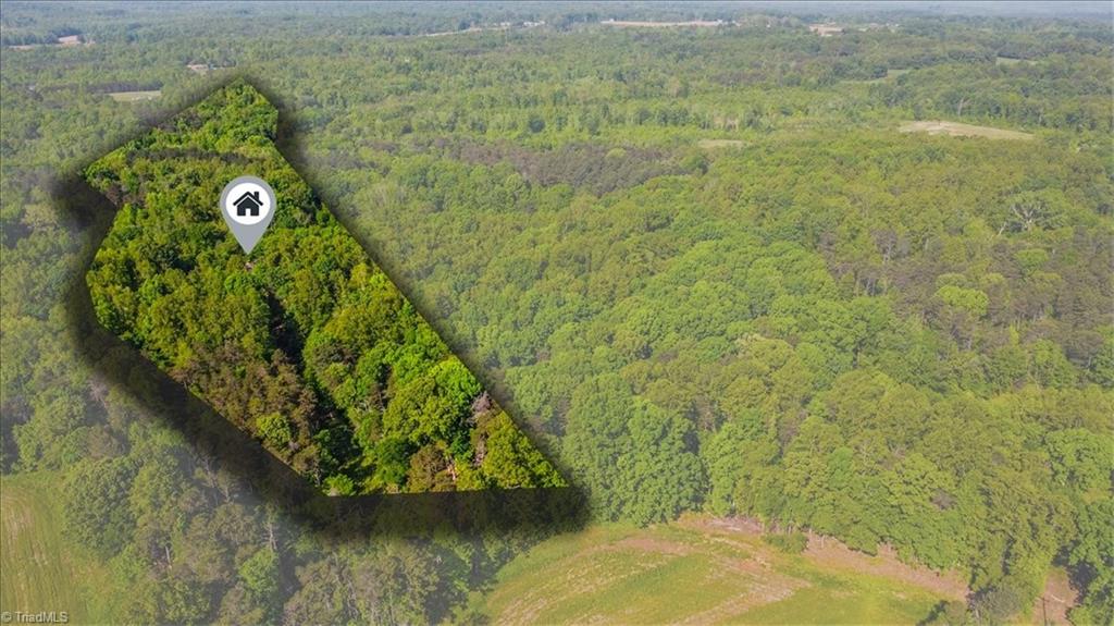 450 Simpson Road, Reidsville, North Carolina image 5