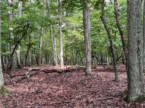 Vacant Land For Sale - 1695 Sierra Trace Road<br/> Denton, NC 27239