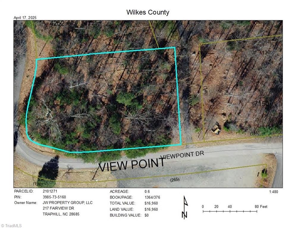 131 View Point Drive, Traphill, North Carolina image 1
