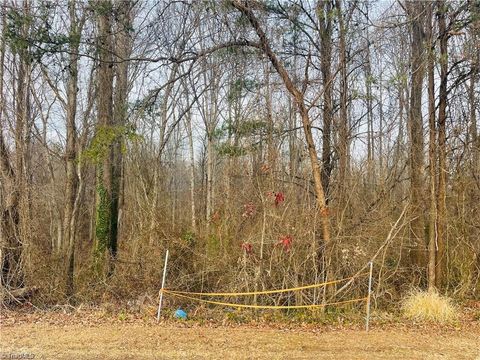 Vacant Land For Sale - 000 Union Hill Road<br/> Thurmond, NC 28683
