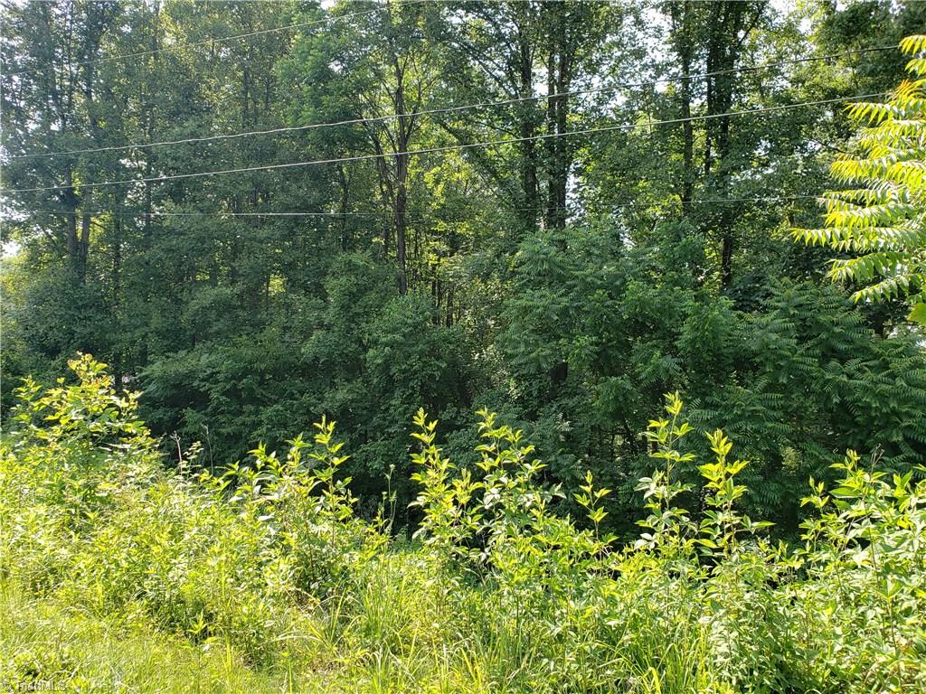 Lot 12 Smith Ridgecrest Road, North Wilkesboro, North Carolina image 6