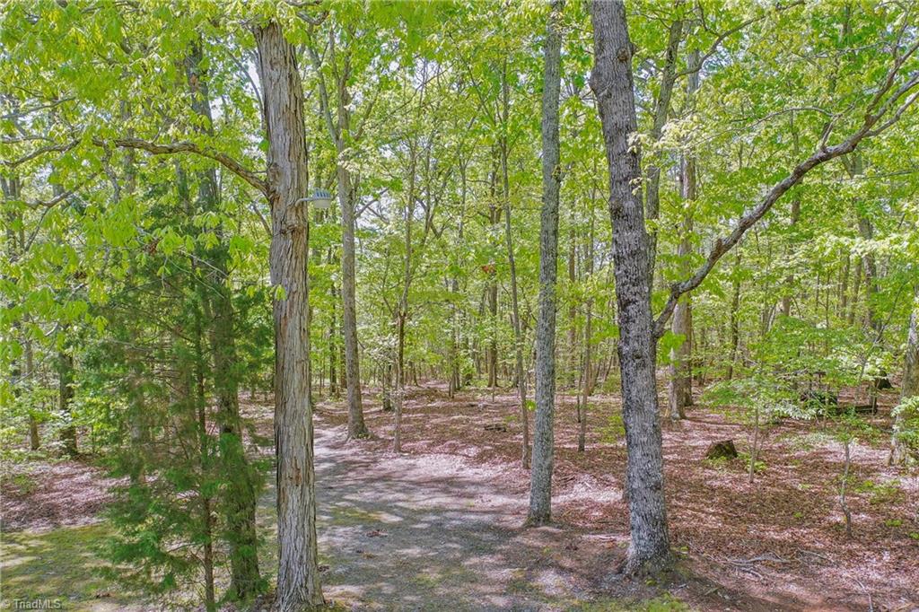 4696 Nc Highway 47, Lexington, North Carolina image 14