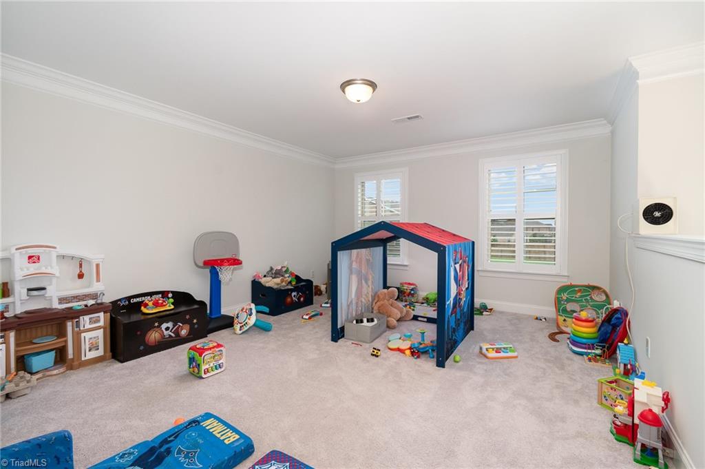 6006 Tanoak Court, Stokesdale, North Carolina image 47