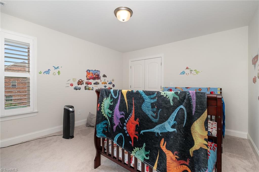 6006 Tanoak Court, Stokesdale, North Carolina image 45