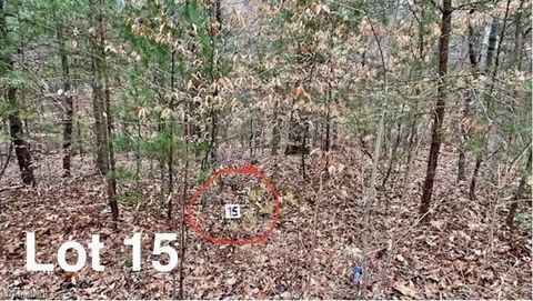 Vacant Land For Sale - LOT 15 Woods Haven Lane<br/> Patrick County, Stuart, VA 24171