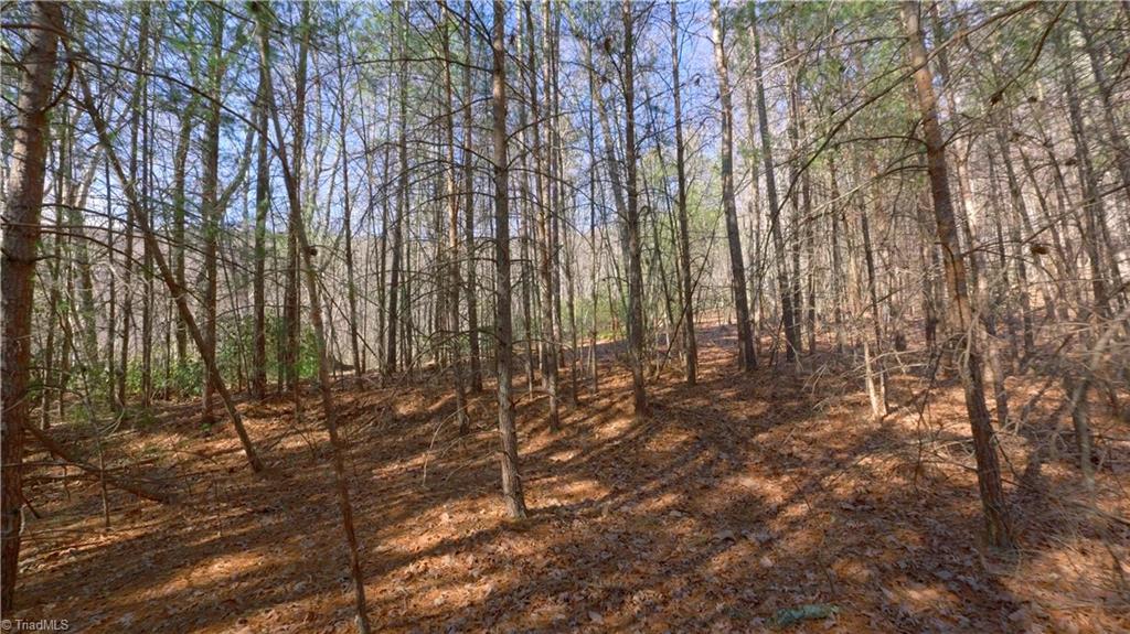 00 Wolf Rock Road, Walnut Cove, North Carolina image 6