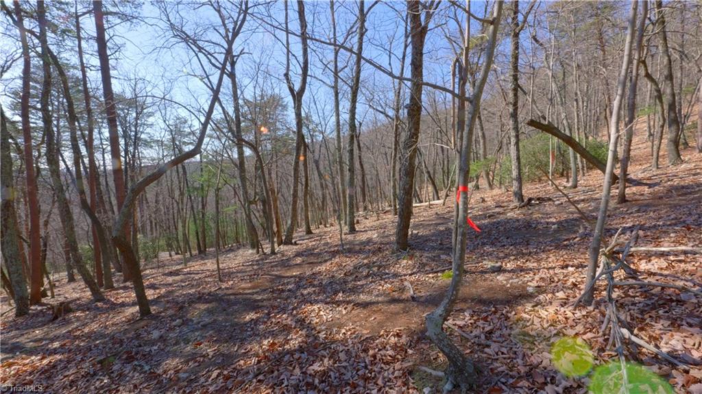 00 Wolf Rock Road, Walnut Cove, North Carolina image 20