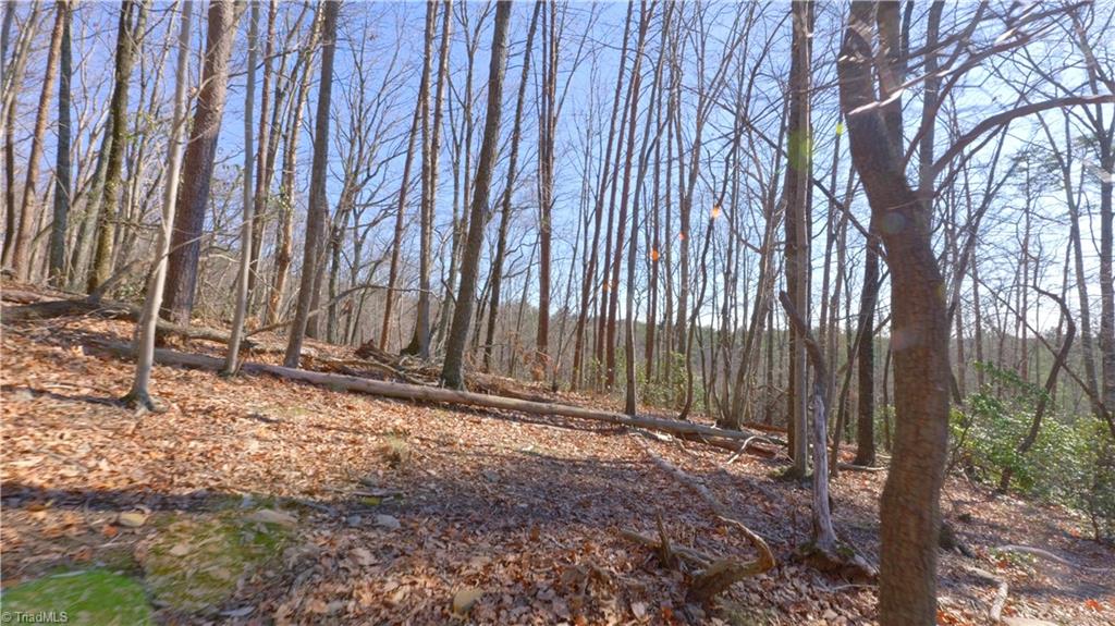 00 Wolf Rock Road, Walnut Cove, North Carolina image 28
